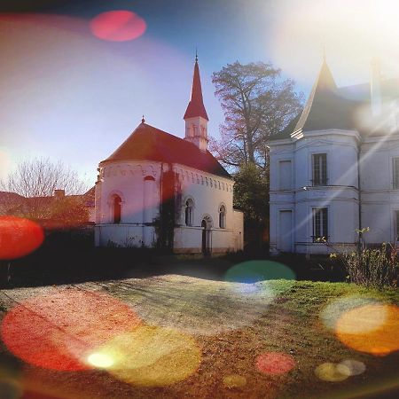 Assay Chateau De Basche מראה חיצוני תמונה