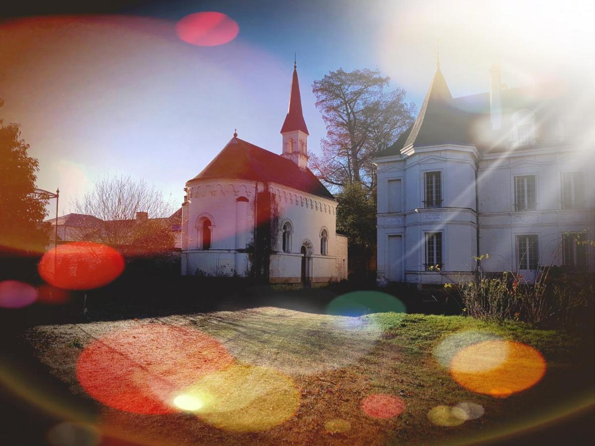 Assay Chateau De Basche מראה חיצוני תמונה