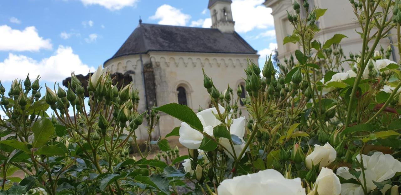 Assay Chateau De Basche מראה חיצוני תמונה